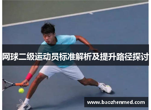 网球二级运动员标准解析及提升路径探讨